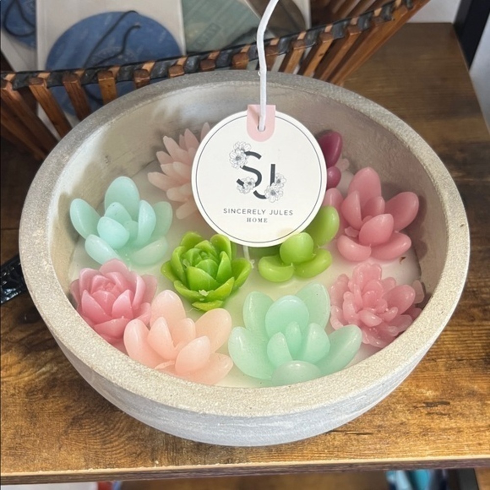 Sincerely Jules Multicolor Succulent Candle Holder